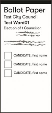 local ballot paper