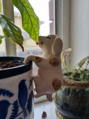 A ceramic dog hanging next to a pot plant
