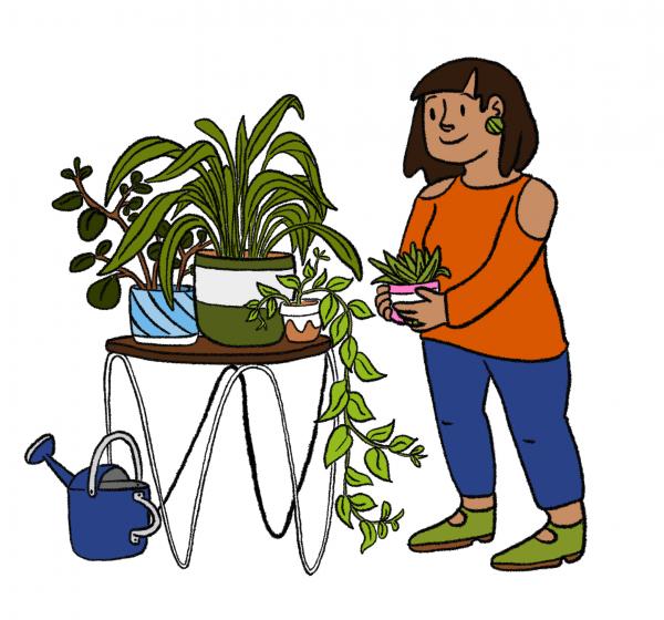 Person holding a pot plant beside table of pot plants & watering can 